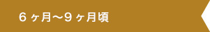 6ヶ月頃