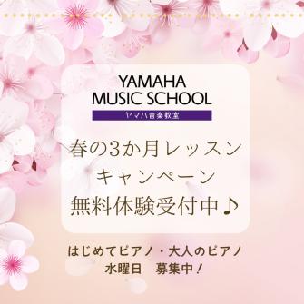 大人向けコース スタートしてます!